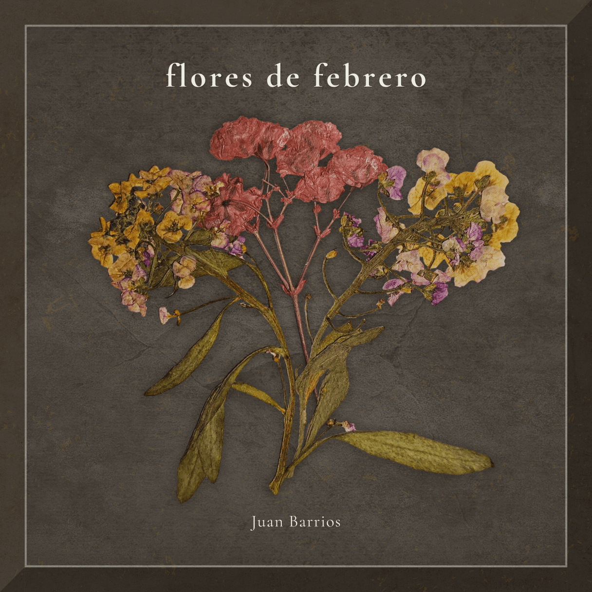 Flores de febrero